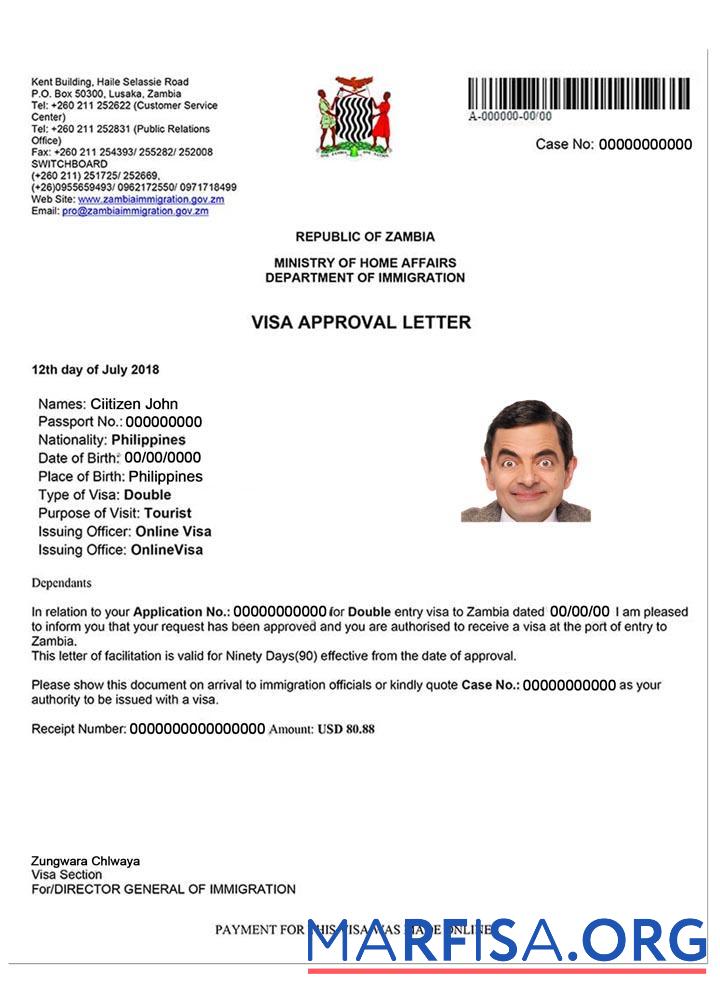 Printable Zambia e visa real example